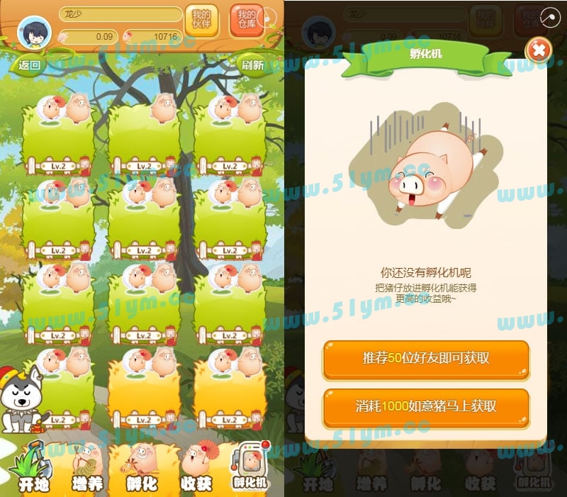 图片[3]-【农场养殖】运营版330农场养殖游戏如意猪龙猫传奇吉祥兔天鹅城富贵鸡理财复利养殖游戏源码-51源码